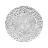 6 Pack | 13inch Silver Peacock Pattern Plastic Charger Plates, Disposable Serving Trays#whtbkgd