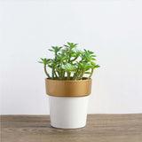 3 Pack | 3inch White Gold Rimmed Small Flower Plant Pots, Indoor Decorative Planters