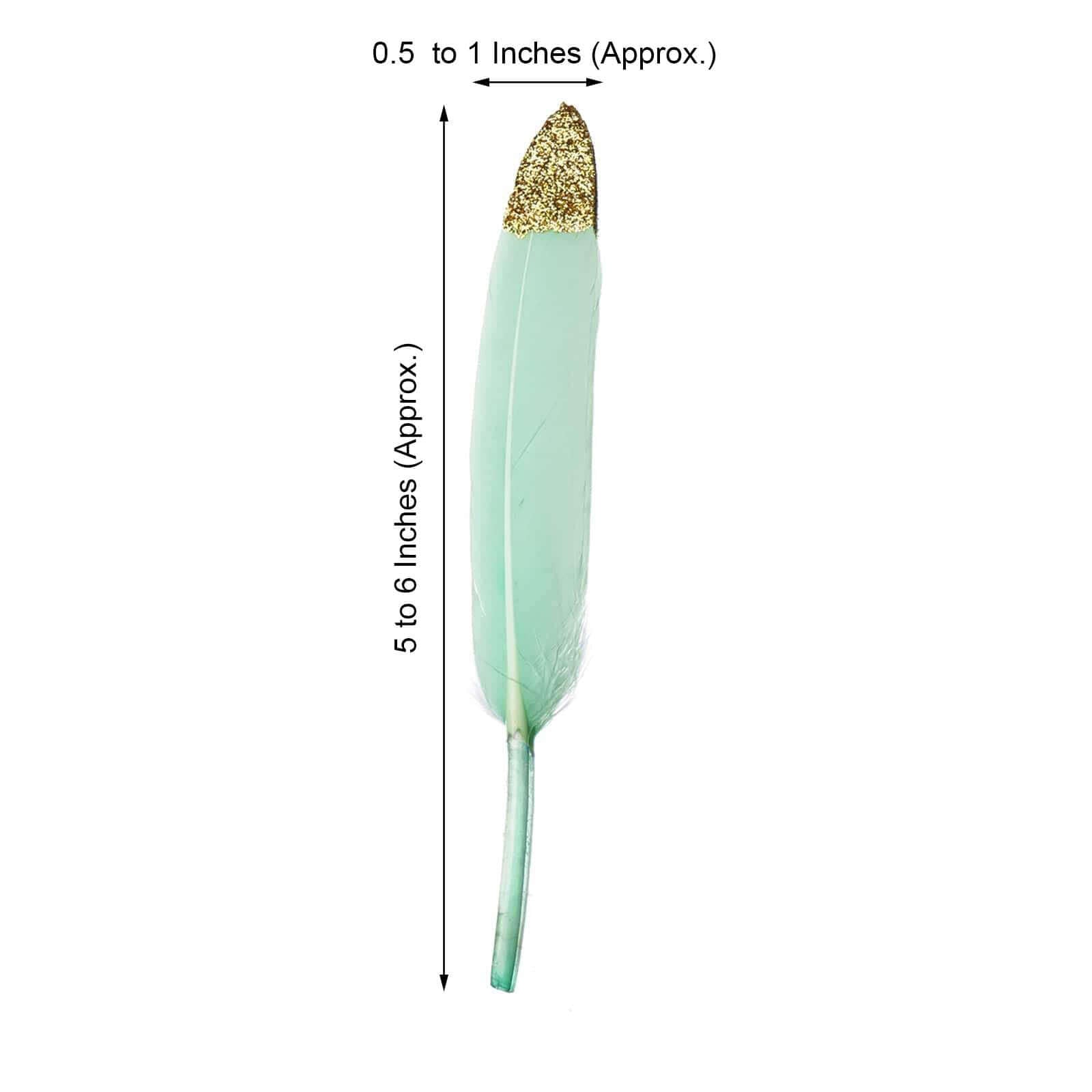 Slide image 455073e141c3480ebbda3002a787f4a1