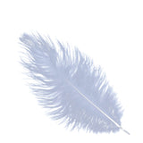 12 Pack | 13-15inch Dusty Blue Natural Plume Real Ostrich Feathers, DIY Centerpiece Fillers