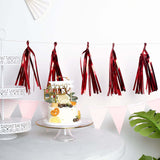 Pre-Tied Metallic Foil Fringe Tassel Garland, Tinsel Curtain for Photo Backdrop Party Decoration