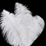 12 Pack | 13-15inch White Natural Plume Real Ostrich Feathers, DIY Centerpiece Fillers