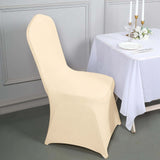 Beige Spandex Stretch Fitted Banquet Slip On Chair Cover - 160 GSM