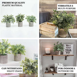 3 Plant Set | 9inch Mini Potted Artificial Eucalyptus, Rosemary & Boxwood Faux Planter Collection