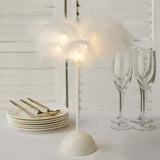 15inch White Feather LED Table Lamp Wedding Centerpiece, Battery Operated Cordless Desk Light