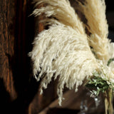 6 Stems | 32inch Wheat Tint Dried Natural Pampas Grass Plant Sprays