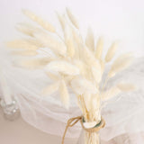 50 Pack | 15inch Natural White Rabbit Tail Dried Pampas Grass Stem Bouquets