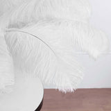 Set of 12 | 24"-26" White Natural Plume Ostrich Feathers Centerpiece 