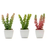 3 Pack | 8inches Ceramic Planter Pot & Artificial Sedum Succulent Plants#whtbkgd