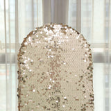 5ft Sparkly Champagne Double Sided Big Payette Sequin Chiara Backdrop Stand Cover For Fitted Round