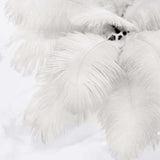 12 Pack | 13-15inch Ivory Natural Plume Real Ostrich Feathers, DIY Centerpiece Fillers