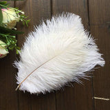 12 Pack | 13-15inch White Natural Plume Real Ostrich Feathers, DIY Centerpiece Fillers