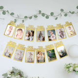 12 Month Milestone 1st Birthday Party Photo Backdrop Hanging Banner, Baby Photo Garland Banner