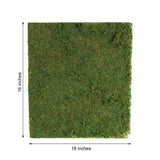 18x16inch | Preserved Natural Moss Wall Sheet Roll, Moss Landscape Panel