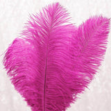 12 Pack | 13-15inch Fuchsia Natural Plume Real Ostrich Feathers, DIY Centerpiece Fillers