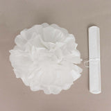 6 Pack 8inch White Tissue Paper Pom Poms Flower Balls, Ceiling Wall Hanging Decorations