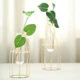 Set of 2 | Bottle Shaped Gold Metal Frame Test Tube Bud Vases, Geometric Glass Wedding Centerpieces