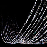 15 Strands | 15ft Crystal Beaded Ceiling Drape Curtains and Hanging Kit
