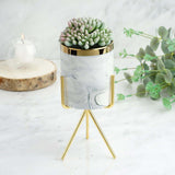 8" Grey | White Marble Swirl Ceramic Flower Pot Succulent Planter with Metal Gold Stand