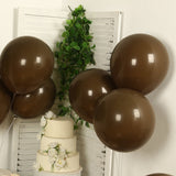 10 Pack Matte Pastel Cinnamon Brown Biodegradable Balloons 18inch, Round Eco-friendly