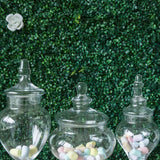 Set of 3 | Clear Glass Pedestal Apothecary Party Favor Candy Jars With Snap On Lids