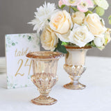 2 Pack Amber Glass Pedestal Flower Vases in Classic Roman Urn Style, 6inch Mini Floral Vase Table