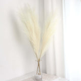 3 Stems | Cream Artificial Pampas Grass Plant Sprays, Faux Branches Vase Flower Arrangement#whtbkgd