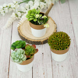 3 Pack | 3inch White Gold Rimmed Small Flower Plant Pots, Indoor Decorative Planters