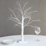 2ft White Artificial LED Birch Tree Lamp, USB Rechargeable Warm White Lighted Tree Centerpiece