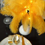 15inch LED Gold Ostrich Feather Table Lamp Wedding Centerpiece