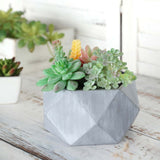 7inch Gray Finished Concrete Geometric Planter, Mini Cement Succulent Flower Pot