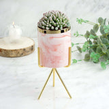 8" Pink | White Marble Swirl Ceramic Flower Pot Succulent Planter with Metal Gold Stand