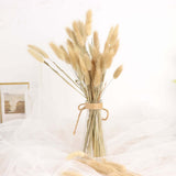 50 Pack | 15inch Natural Rabbit Tail Dried Pampas Grass Stem Bouquets