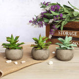 3 Pack | 5inches Ceramic Planter Pot & Artificial Aloe Succulent Plants