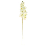 2 Stems | 40inch Tall Cream Artificial Silk Orchid Flower Bouquets