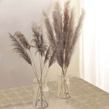 6 Stems | 32inch Natural Tint Dried Natural Pampas Grass Plant Sprays