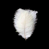 12 Pack | 13-15inch White Natural Plume Real Ostrich Feathers, DIY Centerpiece Fillers