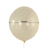 10 Pack Clear Biodegradable Balloons, 18" Thickened Extra Strong Eco-friendly Latex Helium