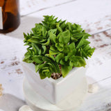 3 Pack | 4inches Ceramic Planter Pot & Green Artificial Echeveria Plants