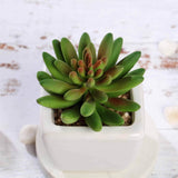 3 Pack | 4inches Ceramic Planter Pot & Artificial Lotus Succulent Plants