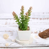 3 Pack | 8inches Ceramic Planter Pot & Artificial Sedum Succulent Plants