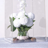 Clear Acrylic Pedestal Risers | Transparent Acrylic Display Boxes 