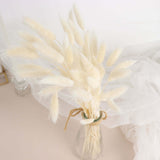 50 Pack | 15inch Natural White Rabbit Tail Dried Pampas Grass Stem Bouquets