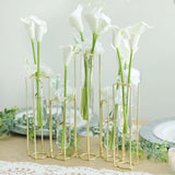 Set of 5 Geometric Gold Frame Test Tube Hydroponic Vases, Conjoined Wedding Centerpieces - 12inch