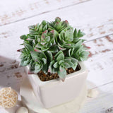 3 Pack | 4inches Ceramic Planter Pot & Green Artificial Echeveria Plants