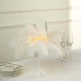 15inch LED White Ostrich Feather Table Lamp Wedding Centerpiece