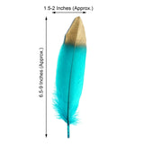 30 Pack | Metallic Gold Dipped Turquoise Real Goose Feathers | Craft Feathers for Party Decoration