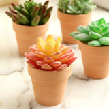 24 Pack 2.5inch Small Mini Terracotta (Rust) Pot Clay Succulent Planter Ceramic Favor