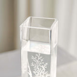 12 Pack | 14inch Heavy Duty Square Glass Cylinder Vases, Clear Glass Flower Vase