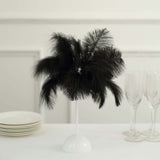 15inch LED Black Ostrich Feather Table Lamp Wedding Centerpiece